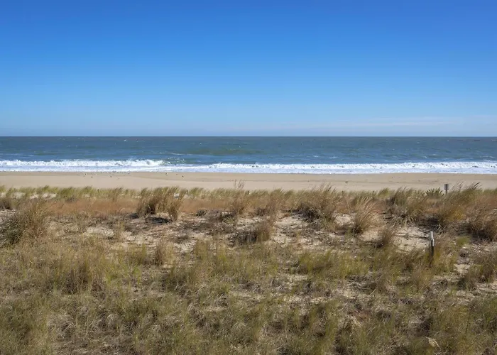 Barefoot Country 407 - Riptide Holiday home *